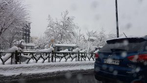 a visit to iran in February